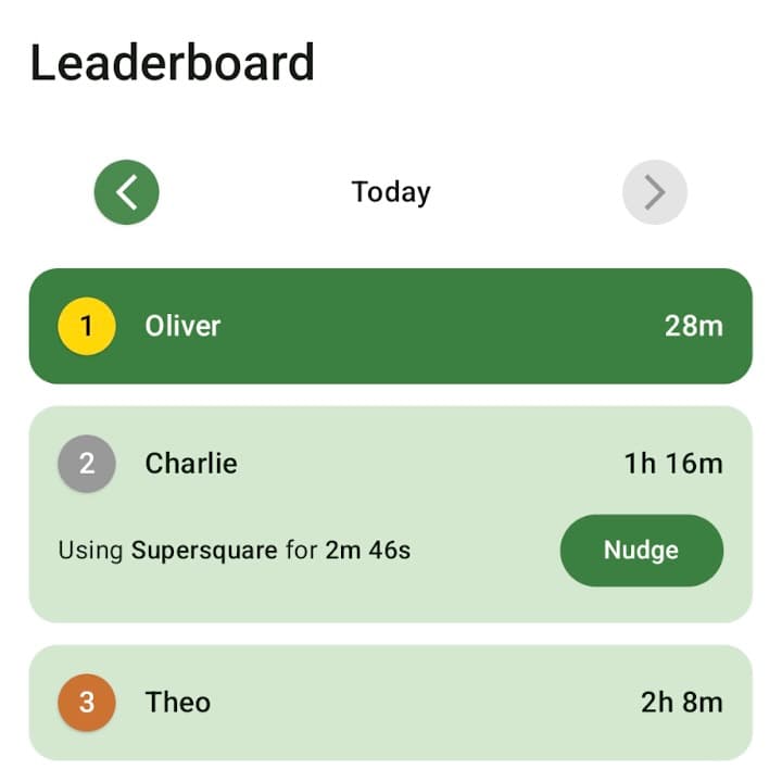 Screenshot of Nudge project